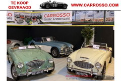 Austin Healey