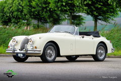 Jaguar XK