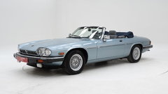 Jaguar Ander