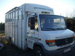 Mercedes Vario